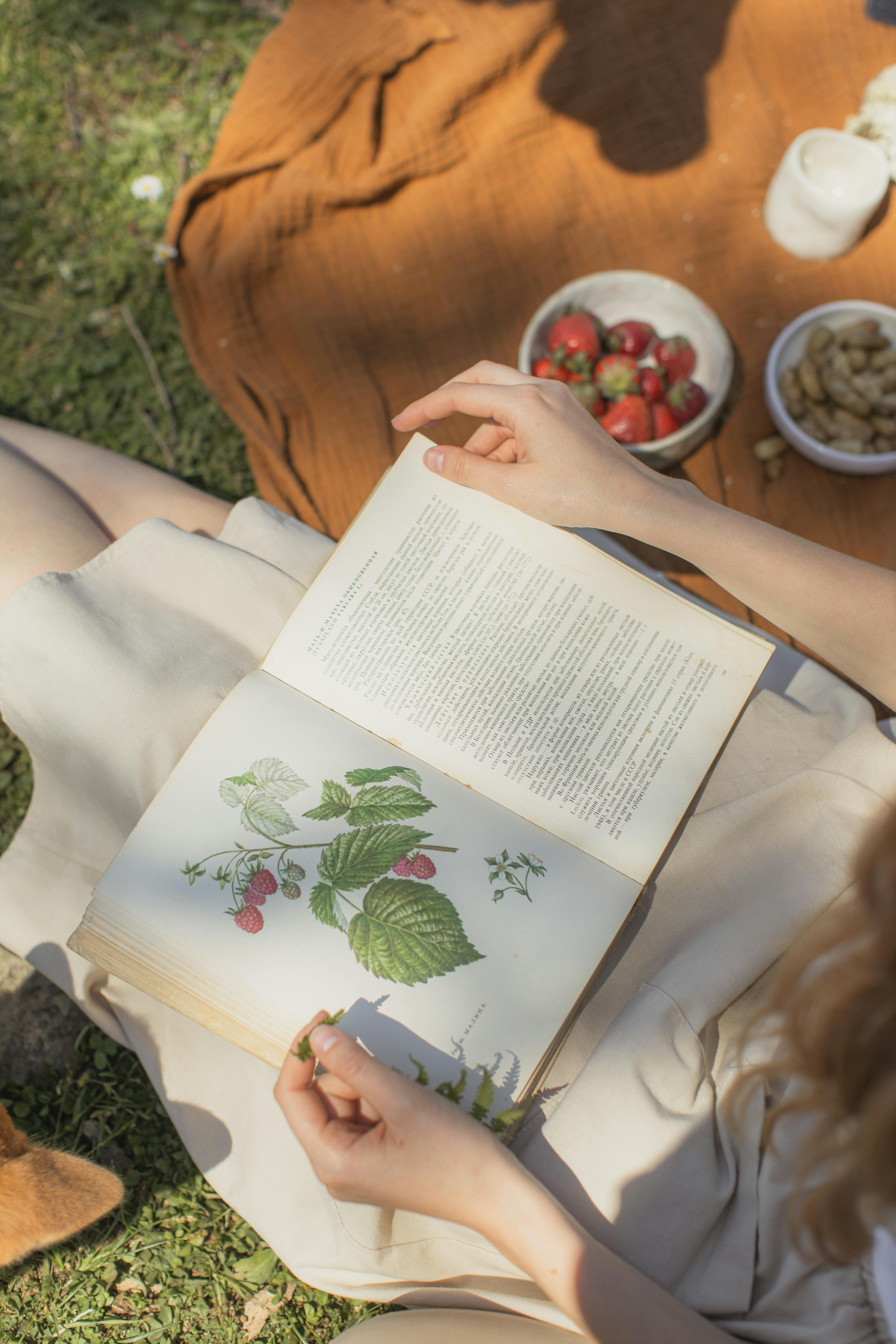 Botanical herb book with berries outdoors